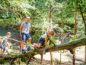 De sprankelwijze school Niet_durven_toch_doen